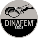 Dinafem